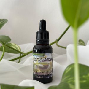 Tintura madre de Mburucuyá 30ml